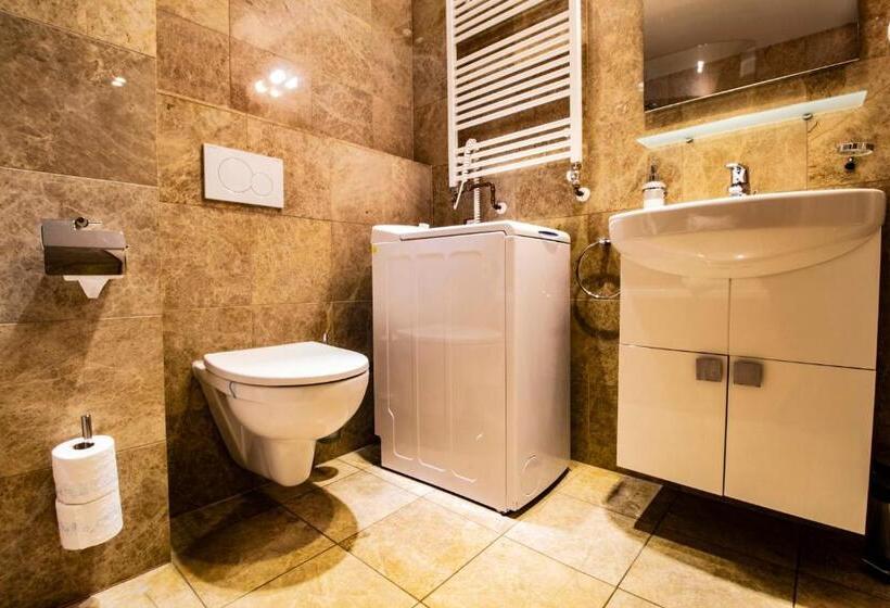 דירת חדר עם טרסה, Residence U černé Věže české Budějovice