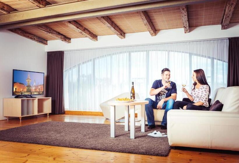 דירה בת חדר שינה 1 עם נוף, Residence U černé Věže české Budějovice