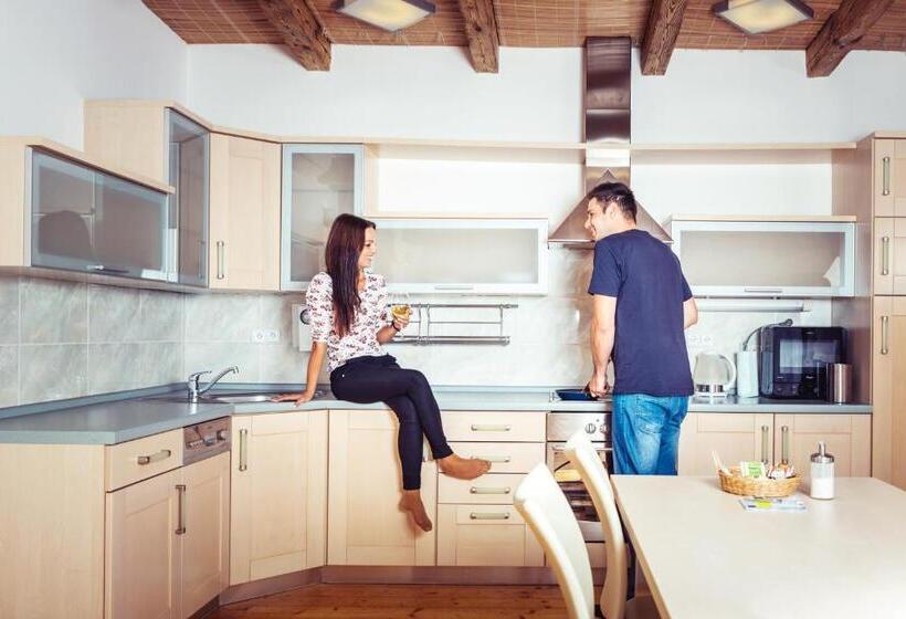 带1个卧室带观景的公寓, Residence U černé Věže české Budějovice