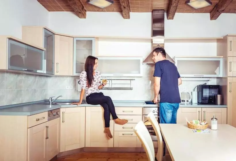 景色の見える一ベッドルームアパートメント, Residence U černé Věže české Budějovice