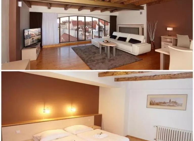 景色の見える一ベッドルームアパートメント, Residence U černé Věže české Budějovice