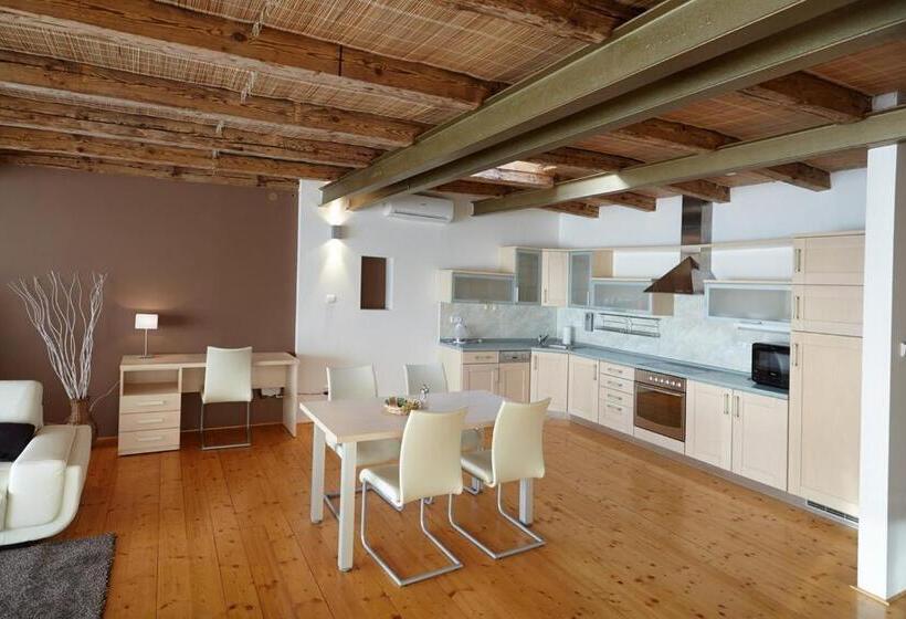 דירה בת חדר שינה 1 עם נוף, Residence U černé Věže české Budějovice