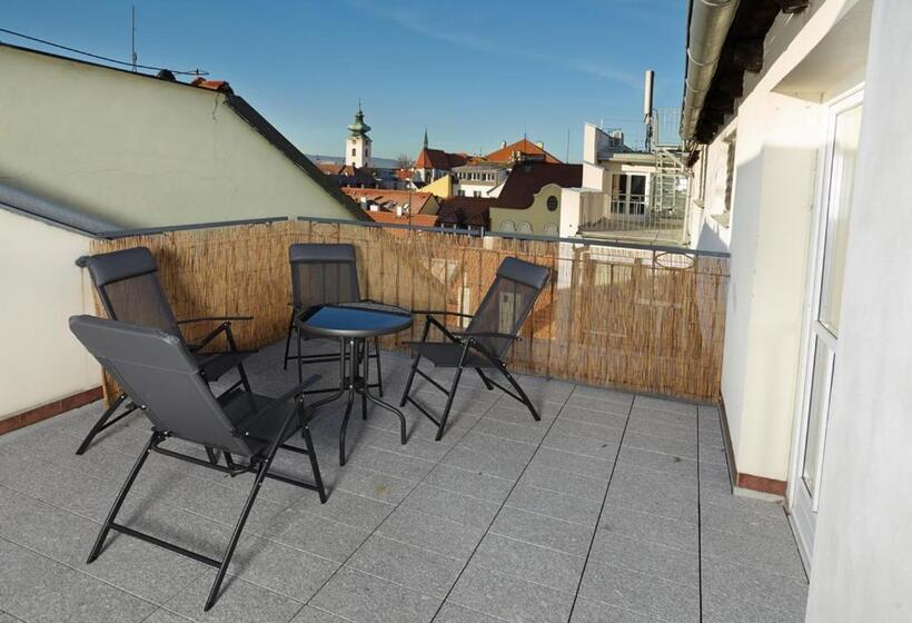 带1个卧室带观景的公寓, Residence U černé Věže české Budějovice