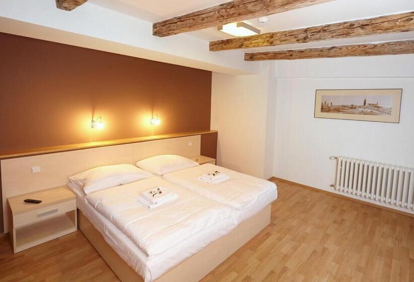 דירה בת חדר שינה 1 עם נוף, Residence U černé Věže české Budějovice