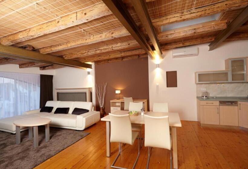 带1个卧室带观景的公寓, Residence U černé Věže české Budějovice