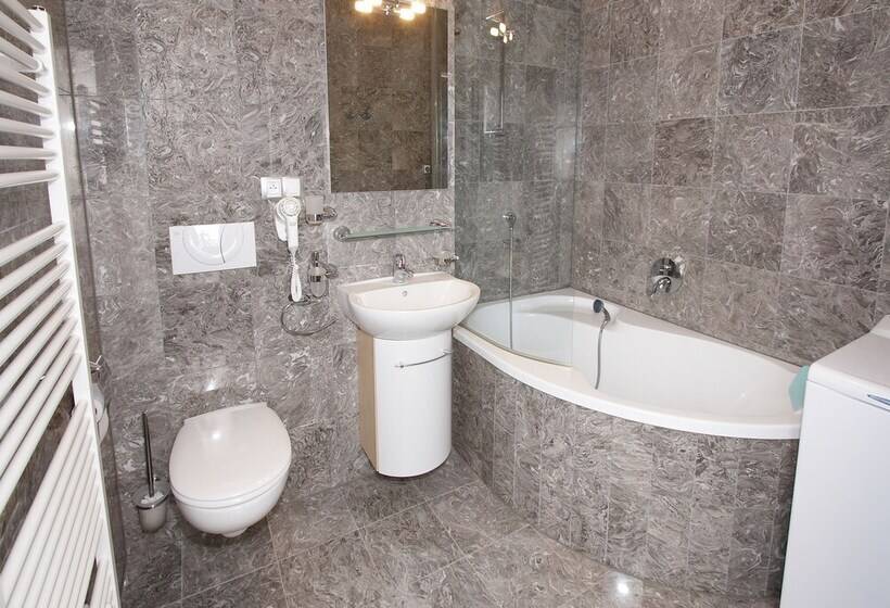 带1个卧室的公寓, Residence U černé Věže české Budějovice