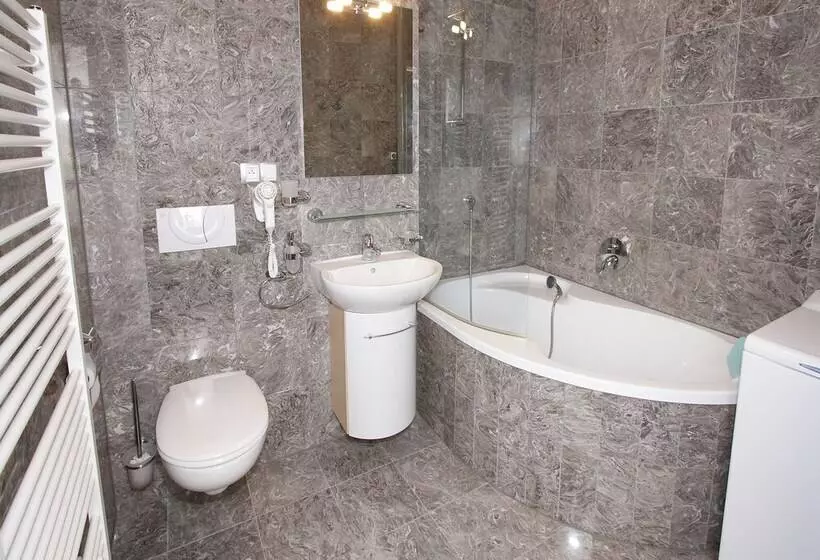 １ベッドルームアパートメント, Residence U černé Věže české Budějovice