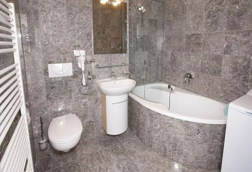 １ベッドルームアパートメント, Residence U černé Věže české Budějovice