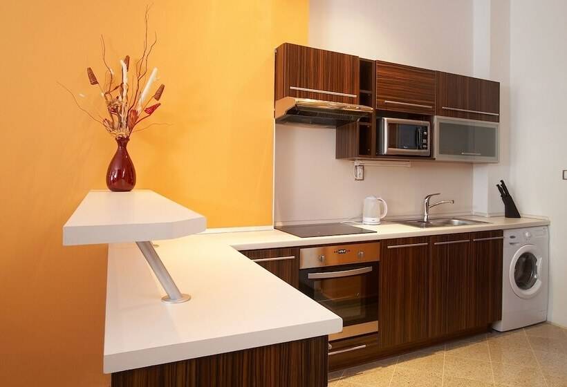 דירת חדר, Residence U černé Věže české Budějovice