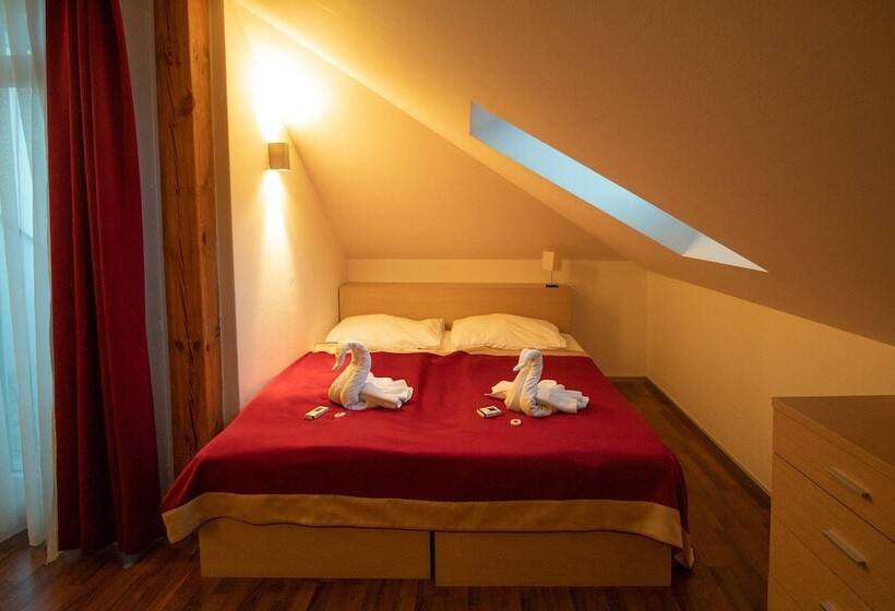 דירת חדר, Residence U černé Věže české Budějovice