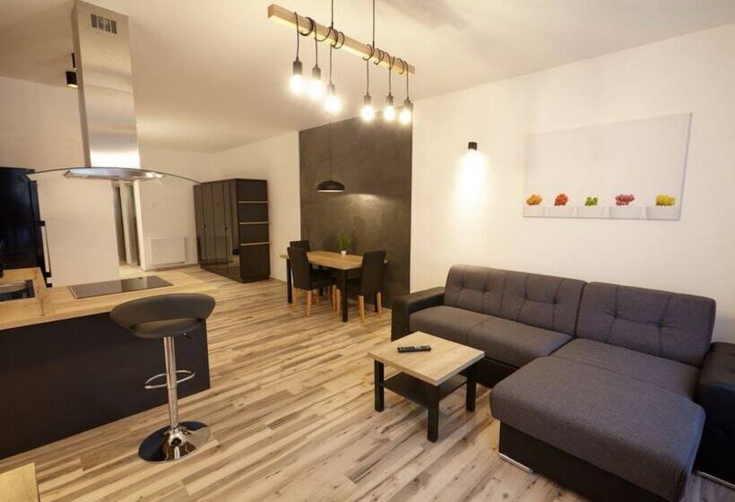 １ベッドルームアパートメント, Residence U černé Věže české Budějovice