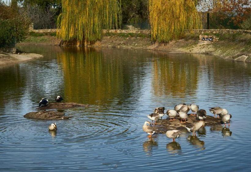 디럭스 스위트 킹 침대, Finca El Cortiñal