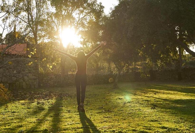 디럭스 스위트 킹 침대, Finca El Cortiñal