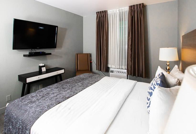 Superior Oda, Urban Boutique