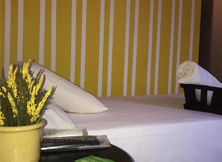 スタンダードシングルルーム, Hostal Leon Dormido
