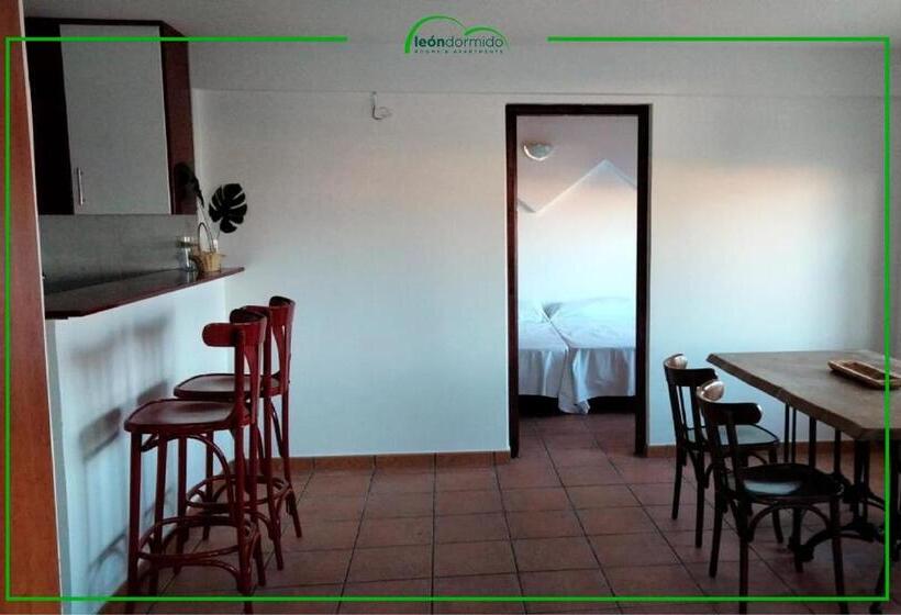 דירת חדר, Hostal Leon Dormido