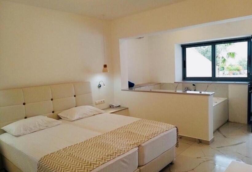 شقة ديلوكس غرفة واحدة, Limnionas Bay Village