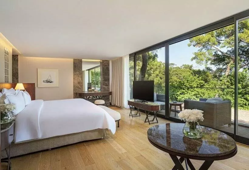 ویلای 1 خوابه با چشم‌انداز باغ, Rixos Premium Göcek - Adult Only
