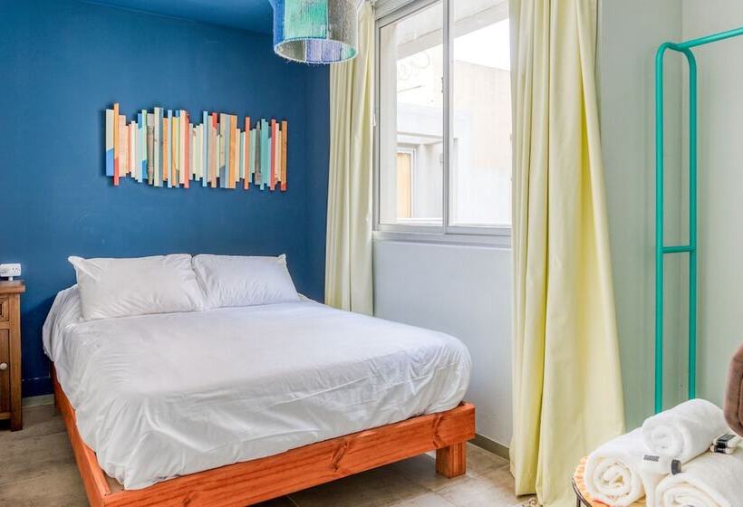 اتاق عادی, Socialtel Nueva Cordoba   Formerly Selina Nueva Cordoba