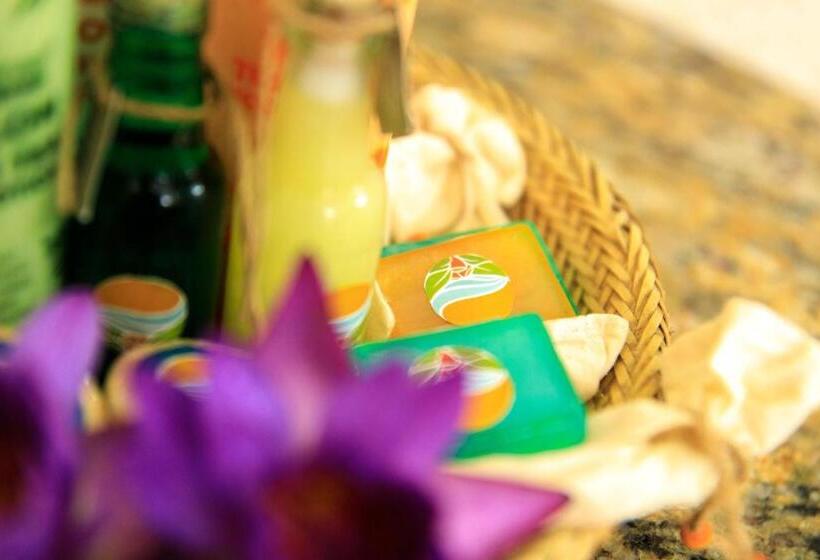 סוויטה משפחתית, Ayurveda Spring Of Life