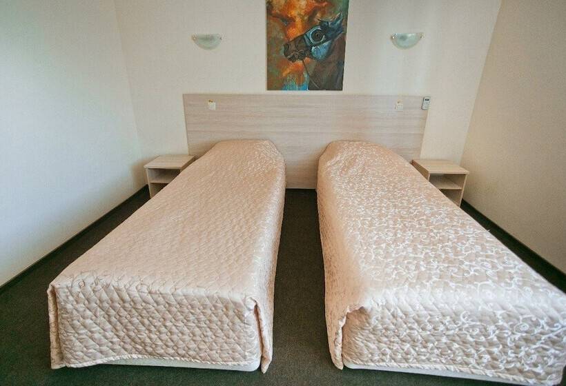 غرفة قياسية, Art Ulyanovsk