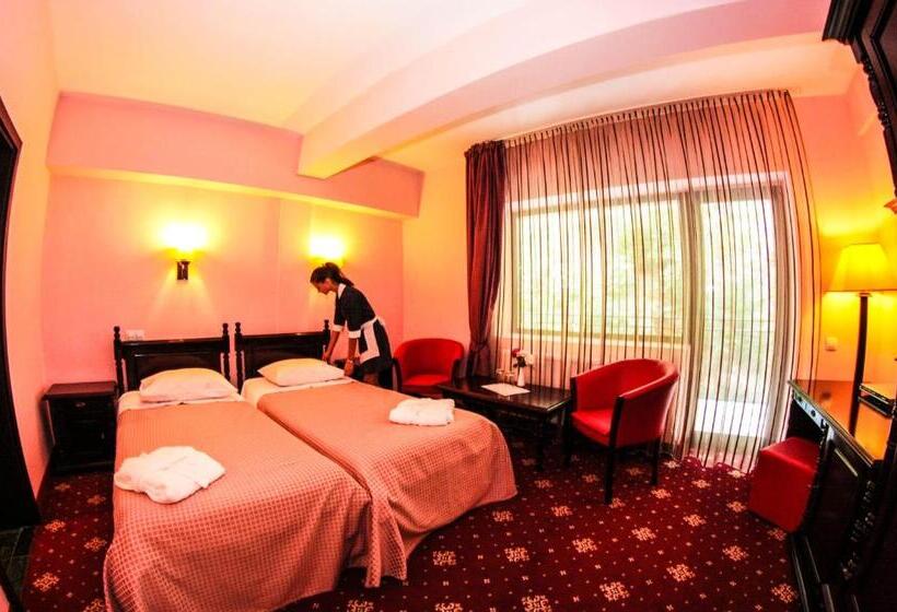 חדר סטנדרט, Bellavista Brasov