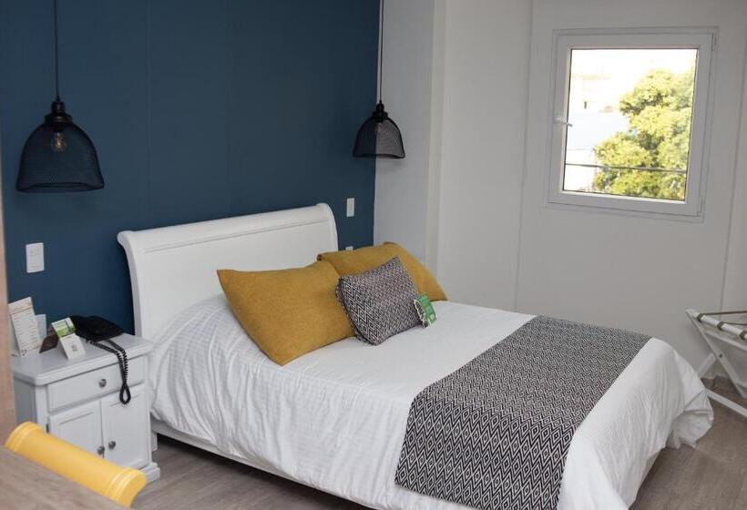 חדר סטנדרט, Buena Vista