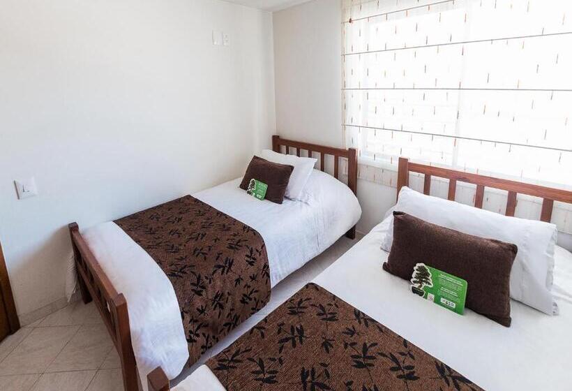 דירת שני חדרים, Buena Vista