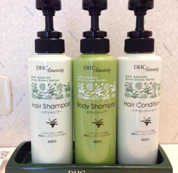 스탠다드 트리플 룸, Excel Okayama