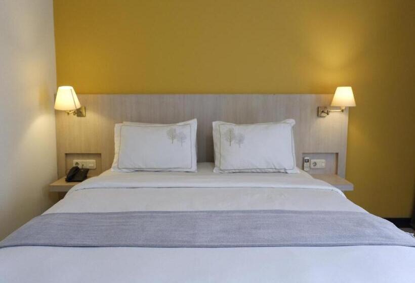 Номер Superior, Rio City