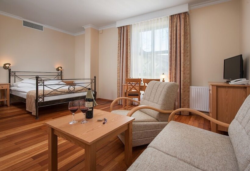 اتاق لوکس, Villa Sedan   Destigo Hotels