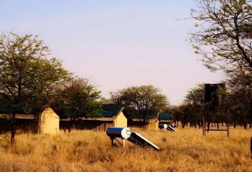 Deluxe Tent, Osinon Camps & Lodges