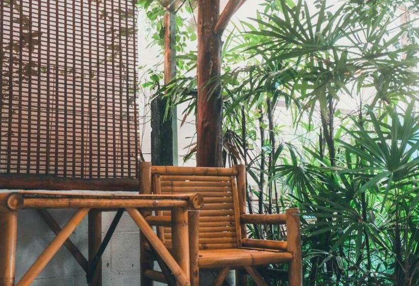 スタンダードルーム, Passion Nai Harn