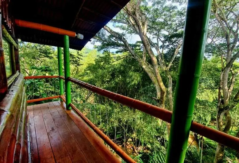 ファミリールーム, Room In Lodge   Family Cabin With River View