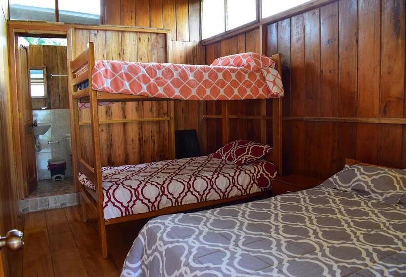 اتاق استاندارد, Hostal Los Farolitos