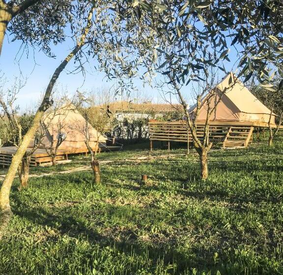 چادر با خدمات رفاهی استاندارد, The Far End Surf House   Breakfast Included Eco Surf Villa  5 Km From Beach