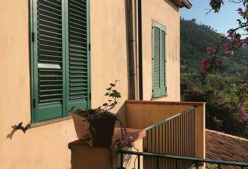 آپارتمان 3 خوابه, Residenza Crivo