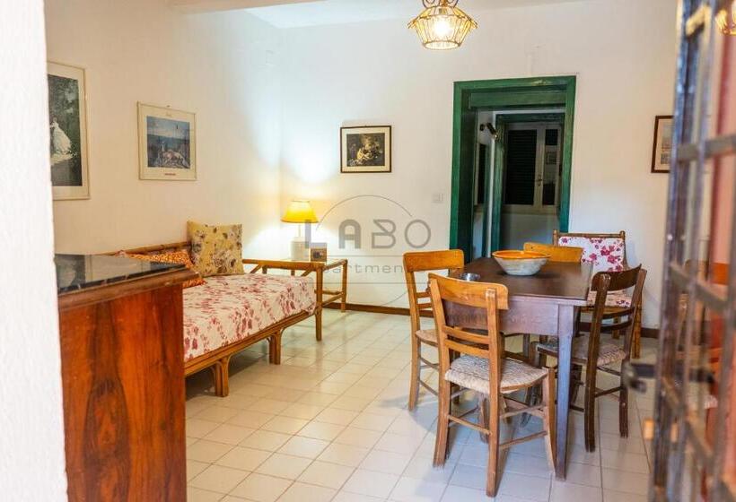 آپارتمان 1 خوابه با چشمانداز, Residenza Crivo