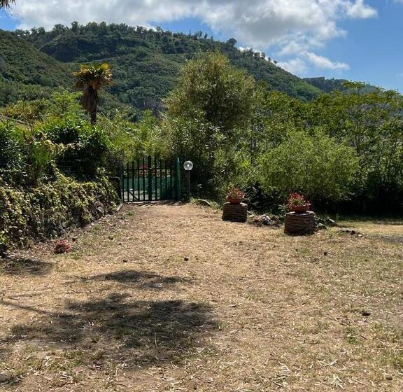 آپارتمان 1 خوابه با چشمانداز دریا, Residenza Crivo