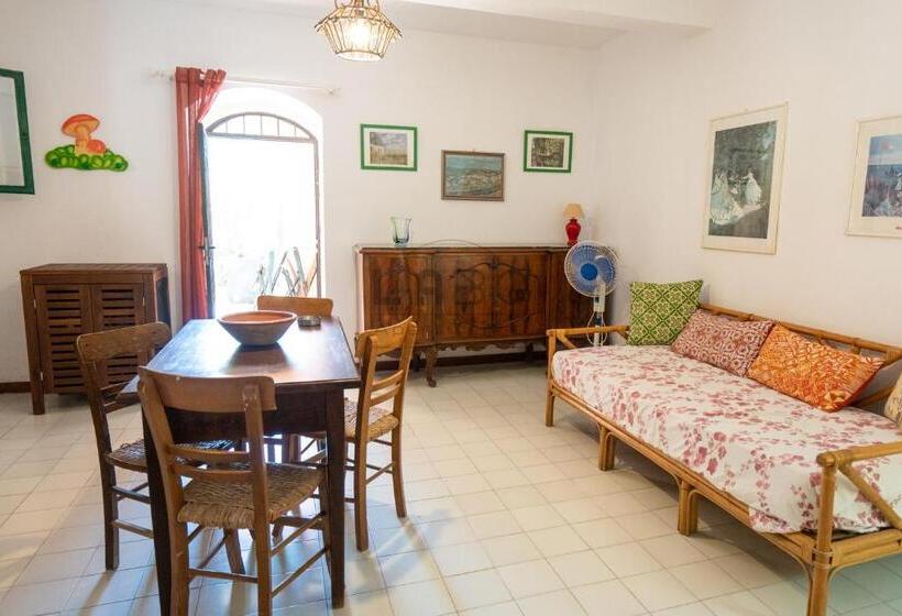 آپارتمان 1 خوابه با چشمانداز, Residenza Crivo