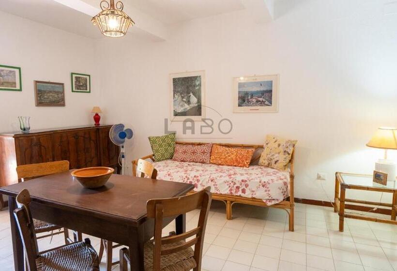 آپارتمان 1 خوابه با چشمانداز, Residenza Crivo