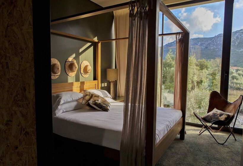 غرفة قياسية, Cooking And Nature  Emotional