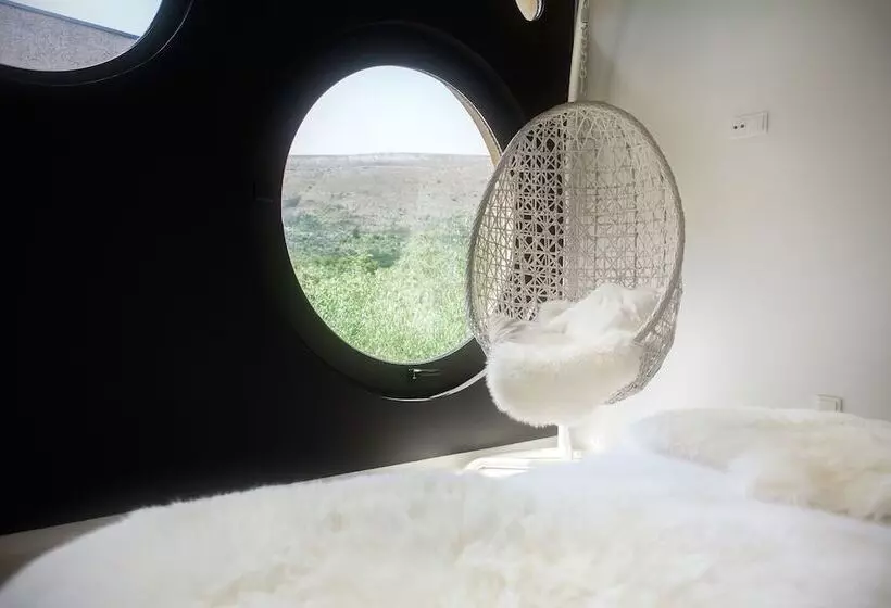 スタンダードルーム, Cooking And Nature Emotional