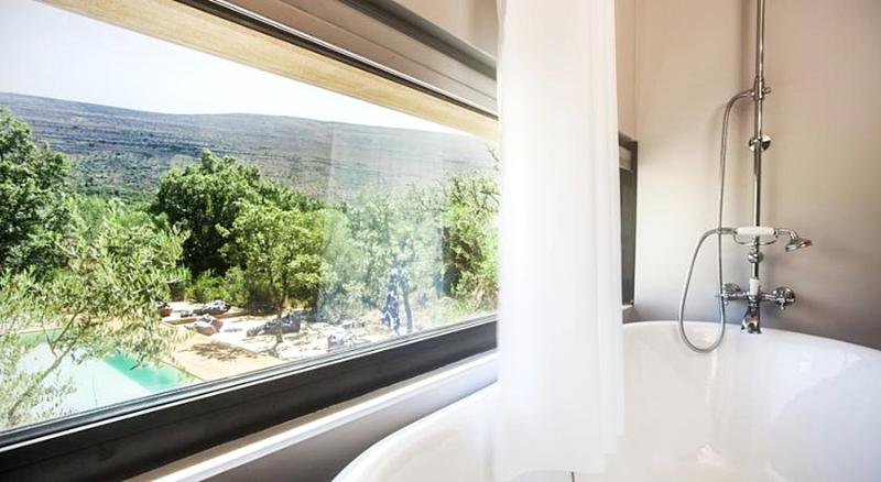 غرفة قياسية, Cooking And Nature  Emotional