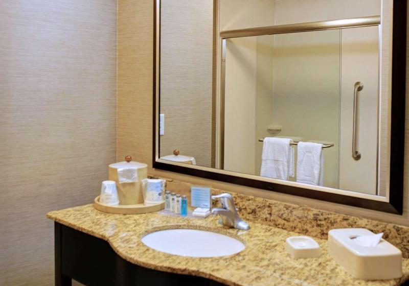 إستوديو قياسى سرير كينج, Hampton Inn Crystal River, Fl