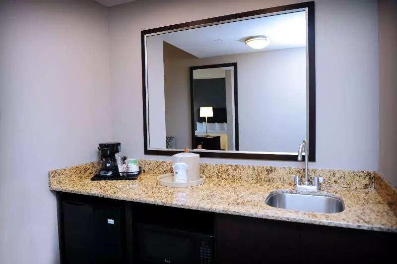キングサイドベッドのスタンダードワンルーム, Hampton Inn Crystal River, Fl