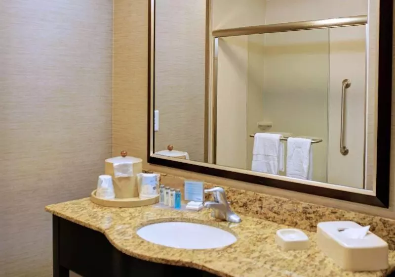 キングサイズベッドのスタンダードルーム, Hampton Inn Crystal River, Fl