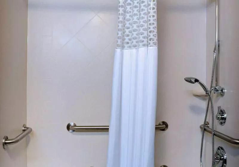キングサイズベッドのスタンダードルーム, Hampton Inn Crystal River, Fl