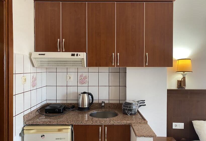 Номер Стандарт, Naturella Apart
