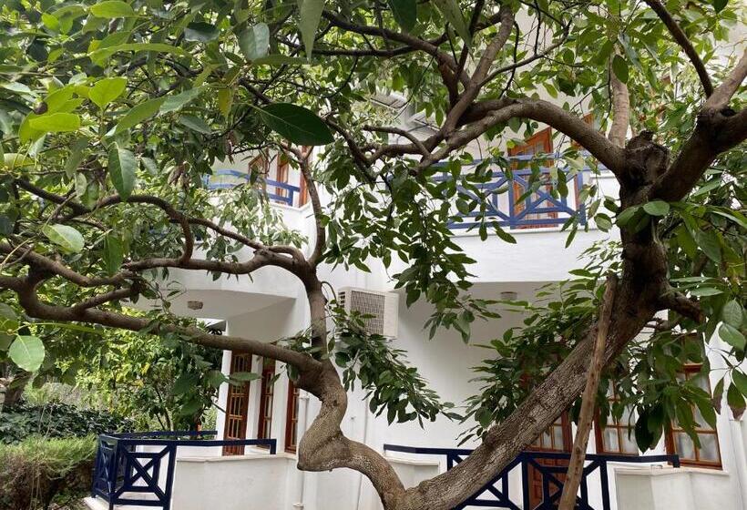 ガーデンビューのスタンダードワンルーム, Naturella Apart